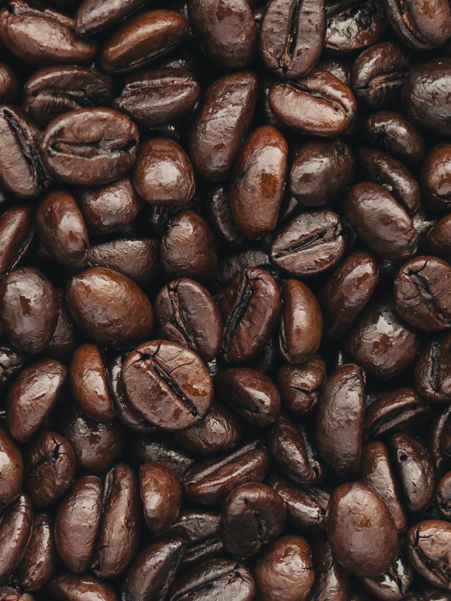 Dark Roast
